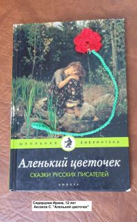 Сидорцова Ирина