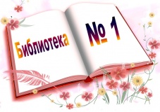 Библиотека №1
